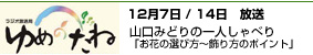 ゆめのたね ポッドキャスト 12/7/14 