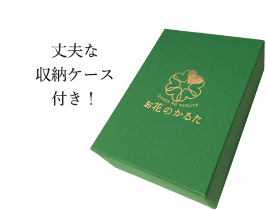 丈夫な収納ケース付き